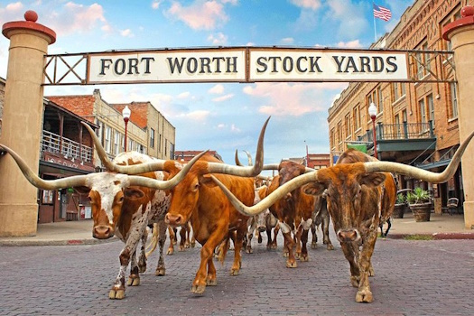 Fort Worth Highlights Tour